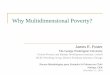 Why Multidimensional Poverty? - Ministerio de Desarrollo ... · PDF fileWhy Multidimensional Poverty? ... UNDP’s Multidimensional Poverty Index ... Natural generalization of FGT
