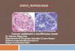 Gestione nefrologica deL paziente oncologicoweb2.sacrocuore.it/oncologia/Negrar_6_novembre/Magarotto_Roberto.pdf · (glomerulonefrite paraneoplastica,microangiopatia post HSCT) 2)