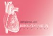 Transplantace srdce Doporučené posTupy - IKEM - Institut ... · Dopamin ≤ 20 µg/kg/min 3. Dobutamin ≤ 10 µg/kg/min 3/ Monitorace hemodynamiky - CVP (obligátní postup) -