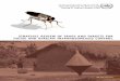 STRATEGIC REVIEW OF TRAPS AND TARGETS FOR … · mise_ok 9.3.2005 12:45 Page 5. ... PATTEC Pan African Tsetse and Trypanosomiasis Eradication Campaign PATTEC-PMC PATTEC Policy and