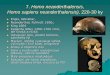 7. Homo neanderthalensis, Homo sapiens neanderthalensis ... · krátká clavicula Odlišný ... cf. Šanidar, Tabun, Kebara. Děti: Mezmajskaja jeskyně –skelet a rekonstrukce Amud