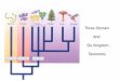 Three Domain And Six Kingdom Taxonomys/Lab 07 Taxonomy.pdf · Phylum Chordata (Characteristics of Chordates) Notochord Precursor to your backbone (vertebral column) Dorsal nerve chord