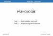 PATHOLOGIE - semmelweis.husemmelweis.hu/patologia1/files/2018/10/DZ-PATH-20180910-0912-0917... · Emollitio cerebri (Hirninfarkt) Akute Pancreatitis ZELLSCHADEN IRREVERSIBLE SCH