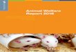 Animal Welfare Report 2016 - ub.unibas.ch · Tierschutzgesetz Bund, Hochschulen und die Industrie auf das 3R-Prinzip. Unabhän - Unabhän - gig wie man persönlich zu Sinn und Nutzen