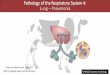 Pathology of the Respiratory System 4: Lung Pneumoniapeople.upei.ca/smartinson/Resp_Lec_4_2017.pdf · Examples of Diseases that Cause Bronchopneumonia in Domestic Animals LUNG –