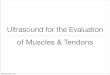 Ultrasound for the Evaluation of Muscles & Tendons · *Clinical indications for musculoskeletal ultrasound: A Delphi-based consensus paper of the European Society of Musculoskeletal