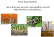 Plant Reproduction Gene transfer, asexual reproduction ... Plant Reproduction Gene transfer, asexual