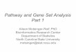 Pathway and Gene Set Analysis Part 1 - biostat.washington.edu · Alison Motsinger-Reif, PhD Bioinformatics Research Center Department of Statistics North Carolina State University