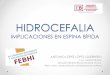 HIDROCEFALIA IMPLICACIONES EN ESPINA BFIDA - .hidrocefalia implicaciones en espina bfida antonio