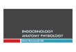 Endocrinology anatomy physiology - Sinoe Medical Associationsinoemedicalassociation.org/AP3/Endocrinologyanatomyphysiology.pdf · Endocrine System: Overview Acts with the nervous