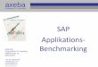 SAP Benchmarking - axeba.ch SAP-Benchmarking V2.6.pdf · • Benchmarking: Benchmarking des Gebietes Electronic Workplace und SAP inkl. Aufzeigen von Aufzeigen von Optimierungspotenzial