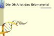 Die DNA ist das Erbmaterial - Szegedi Tudományegyetemweb.med.u-szeged.hu/mdbio/ger/material/.../Zell_l/2/02.Erbmaterial.ppt.pdf · Stadler und Über (1942): Wellenlänge (nm) z Absorptionsspektrum