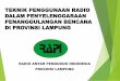 TEKNIK PENGGUNAAN RADIO DALAM PENYELENGGARAAN ... · teknik penggunaan radio dalam penyelenggaraan penanggulangan bencana di provinsi lampung radio antar penduduk indonesia provinsi