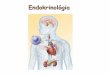 Endokrinológia - physiology.elte.huphysiology.elte.hu/eloadas/Elettan_kony_fiz/Elettan9_endokrinologia_2010.pdf · a hormon endokrin szervben termelődik Speciális eset: a termelő
