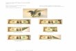 Dollar Bill Pegasus by Bo Gulledge - Origami Resource Center · the edges vertical 37 -repeat the fat rabbit ear process again but only bring 38 -hinge the whole construct to the
