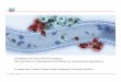 Circulating Cell-Free DNA Pre-analytics: The Importance of ... · Sample to Insight Circulating Cell-Free DNA Pre-analytics: The Importance of Standardized Workflows for Liquid Biopsy