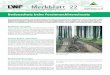 Merkblatt 22 - lwf.bayern.de · Merkblatt 22. der Bayerischen Landesanstalt für Wald und Forstwirtschaft. Dezember 2012. Bodenschutz beim Forstmaschineneinsatz. Der zunehmende Einsatz