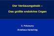 Der Verdauungstrakt – Das größte endokrine Organ85.214.27.15/pdf/101125_Folwaczny.pdf · Endokrines „System“ Hypothalamus. Hypophyse. Schilddrüse. Nebenschilddrüse. Pankreas