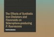 The Effects of Synthetic Iron Chelators and Flavonoids on ...jkswanson.com/STEM17Pres23.pdf · The Effects of Synthetic Iron Chelators and Flavonoids on Siderophore-producing P. fluorescens