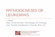 PATHOGENESIS OF LEUKEMIAS - is.muni.cz file• HCL, hairy cell leukemia . Key clinical signs, pathogenesis •Leukocytes • leukocytosis, hyperviscosity • leukopenia, neutropenia