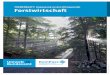 THEMENBLATT: Anpassung an den Klimawandel Forstwirtschaft · PDF file2 Das Klima ändert sich und mit ihm das Umfeld für Mensch und Umwelt. Grund ist der vom Menschen verursachte