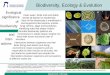 Biodiversity, Ecology & Evolution - - TU Kaiserslautern · Biodiversity, Ecology & Evolution Ecology and eco-physiology Vegetation and community ecology, plant-animal interactions