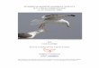 SEABIRD & MARINE MAMMAL SURVEY R.V. CEFAS ENDEAVOUR · numbered N5. This record has been submitted to the relevant authority, and details This record has been submitted to the relevant