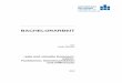 BACHELORARBEIT - monami.hs-mittweida.de · actual and virtual Communications – Functionality, Comparisons and Differences 51 Seiten, Hochschule Mittweida, University of Applied