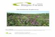 Die blühende Ergänzung - lfl. · PDF fileDie blühende Ergänzung 4 zum Schutz von „Nicht-Zielorganismen“ auf angrenzenden Flächen (zum Beispiel Feldraine, Hecken, Gehölzinseln)
