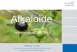 Alkaloide - Universität Düsseldorf: Pharmazie · Alkaloide Wintersemester 2015/2016 Marian Frank Institut für Pharmazeutische Biologie und Biotechnologie Heinrich-Heine-Universität
