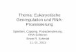 Thema: Eukaryotische Genregulation und RNA-Prozessierungmolgen.biologie.uni-mainz.de/Downloads/PDFs/GrundVL_2012_4_Gen... · Worin unterscheiden sich die Gene bzw. die Genprodukte