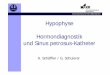 Hypophyse Hormondiagnostik und Sinus petrosus-Katheter · KLINIK UND POLIKLINIK FÜR INNERE MEDIZIN I Hypophyse Hormondiagnostik und Sinus petrosus-Katheter A. Schäffler / G. Schuierer
