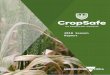 CropSafe: 2018 review - agriculture.vic.gov.auagriculture.vic.gov.au/__data/assets/word_doc/...2018-season-report.…  · Web viewThe 2018 . CropSafe. general surveillance survey