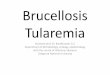 Brucellosis Tularemia - fileAbortus(Cattle),Melitensis (Sheep,Goat)Suis(Swin),Cani s(Dog) • G- Coccobacil • Aerobic, Non-spore forming • Non motile • Blood or Choclate agar