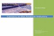 Careers in the Finance Industry - publication.tbs-education.frpublication.tbs-education.fr/Projets/pole-finance/job/doc/careers-in-finance.pdf · An Overview of the Finance Industry