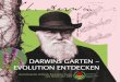 Darwins Garten - Evolution entdecken · Obwohl Darwin seit 20 Jahren an seiner Theorie feilte, war er noch nicht zu einer Veröffentlichung bereit. Aber als ihm 1858 von der indonesischen