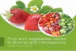 Fruit and vegetables sector in Bosnia and Herzegovinafarmabih.ba/assets/files/HVSvsbxVmv-katalog-voce-povrce-2017-engleskipdf.pdf · Preparation and development of this publication
