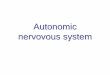 Autonomic nervovous system - Univerzita Karlova · cervicothoracicum / stellatum in front of arteria subclavia. Ganglion cervicothoracicum / stellatum = ggl. cervicale inferius +