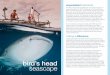 difference - birdsheadseascape.com Fact sheet 2011.pdf · Barat, Indonesia. With over 1,600 recorded species of coral reef fishes and more than 600 species of hard coral, the BHS
