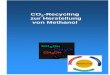 CO2-Recycling zur Herstellung von Methanol - sfv.de · CO 2-Recycling zur Herstellung von Methanol gefördert durch das Land Baden-Württemberg (Kap. 1499-77) Endbericht Juli 2000
