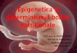 Epigenetica și determinismul bolilor nutriționale - amf.md · UMF Carol Davila. Agenda Importanța problemei Epigenetica Efectele hipoxiei placentare Efectele alimentației Efectele