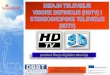 UNIVERZITET SINGIDUNUM DEPARTMAN ZA MASTER STUDIJEprojects.singidunum.ac.rs/wp-content/uploads/2018/06/DigitalTVDesign1.pdf · Uredjaji za snimanje 3D videa 6. 3D televizori 7. Moguci