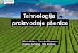 Tehnologija proizvodnje pšenice - semenarska.rs proizvodnje pšenice.pdf · MAP je korišćen bez poznavanja nivoa fosfora u zemljištu! Praksa u prethodnim godinama: primena MAP-a