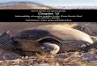Part II: Species and species groups Chapter 15 - GBRMPA · Part II: Species and species groups Chapter 15 Vulnerability of marine reptiles in the Great Barrier Reef to climate change