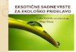 EKSOTIČNE SADNE VRSTE ZA EKOLOŠKO PRIDELAVOekoci.si/wp-content/uploads/2012/01/PREDAVANJE-ZDRAVILNE-ekofejst1.pdf · jagode uvrstilo med zdravilne rastline. Zanimivosti Najbolj