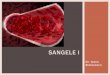 SANGELE I - fiziologie.ro SANGE I.pdf · anticoagulant, F1 de corectie este 1,09, datorita modificarii volumului eritrocitor si de 1 in cazul heparinei. • F2, ce tine de plasma