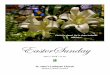 Alleluia EasterSunday - stjohns- · PDF fileAnd sing with hearts uplifted high: Alleluia, alleluia, alleluia! Your name we bless, O risen Lord, and sing today with one accord, The