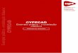 CYPECAD - topinformatica.pt · CYPECAD – Exemplo prático – modelação clássica Manual do utilizador CYPE 2 IMPORTANTE: ESTE TEXTO REQUER A SUA ATENÇÃO E A SUA LEITURA