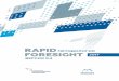 RAPID Методология FORESIGHT 2017 версия 0research.nevafilm.ru/public/research/articles/foresight_manual.pdf · большого числа людей встала