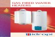 GAS FIRED WATER HEATERS - - szatmari.hu · GVS SERIES THE MANIFOLD WATER HEATERS The efficiency of gas heating and the convenience of a large water heater. These, together with the